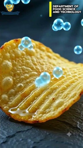🚫 THE "AIR IN CHIPS PACKETS" MYTH: SCAM OR SCIENCE? 🥔💨
