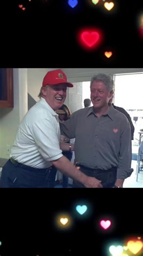 Just Vibes: A Humorous Take on Politics