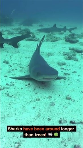 10 fun facts that will blow your mind 🤯