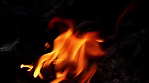 Stock Video Logs Burning In A Campfire Animated Wallpaper