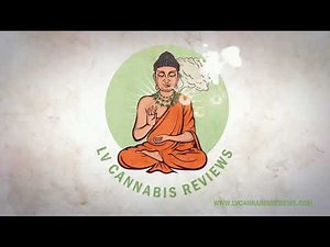 Step By Step Recipe For THC Avocado Irish Cream Fudge