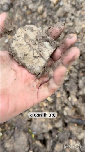Sticking straight up! #arrowhead #arrowheadhunting #nativeamerican #artifacts #artifacthunting #rock