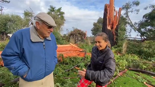 A giant redwood exploded into bits Christmas morning, startling a Sebastopol family. "It was like lightning was inside the house." See link to story in the comments. | Press Democrat