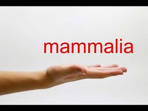 How to Pronounce mammalia - American English