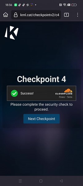 Guys when checkpoint I get key?#plshelp#Idkwhatswrong#plshelppp