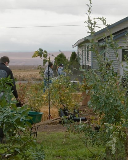 140K views · 5.1K reactions | What is a pocket forest? Learn how the Yakama tribe has worked to restore biodiversity to once barren land using a unique tree planting method.  #OurGreenPlanet (From BBC Earth in association with Moondance Foundation) | PBS | Facebook