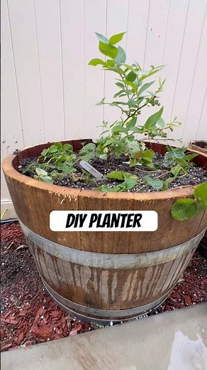 DIY Wine Barrel Planter 🫐