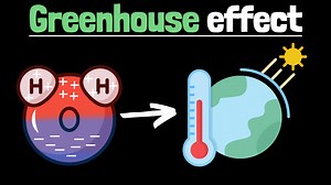 The greenhouse effect