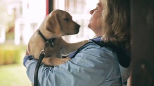 48K views · 658 reactions | See how IBM Watson is helping Guiding Eyes for the Blind increase guide dog  graduation rates. bit.ly/2wcc4mb | IBM | Facebook