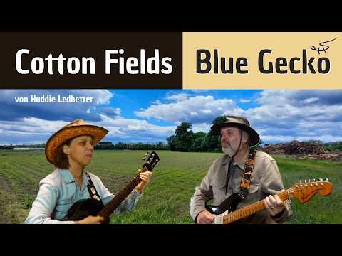 Cotton Fields Blue Gecko Country Gitarrenduo