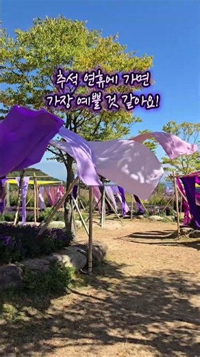 #거창가볼만한곳 #거창여행 #거창감악산 #감악산아스타국화축제 #아스타국화