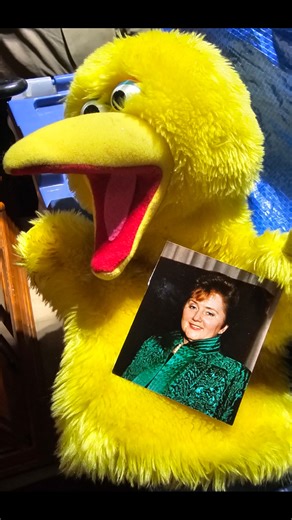 Hard to believe 22 years have past since We lost one of the Kindest People to Grace the Earth. Formally known as The Honorable Sheila Elizabeth McGovern, but just Sheila to All that Loved Her. Not a day passes that I dont think of how she made an Impact in the Lives of People she Loved. Which was many. Love Scott. Big Bird was the Puppets she used to talk to the children whose Adoptions she performed. She made them an Event to Remember. | Scott McGovern