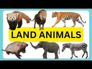 50 LAND ANIMALS NAME | NAME OF 50 ANIMALS THAT LIVE ON LAND | TERRESTRIAL ANIMALS