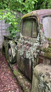 2.1M views · 10K reactions | Nature at its Best Old Car City USA  World  Wide Junkyard.  | Old Car City USA | Facebook