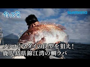 【釣り百景】#629 ノッコミマダイの良型を狙え！鹿児島県錦江湾の鯛ラバ