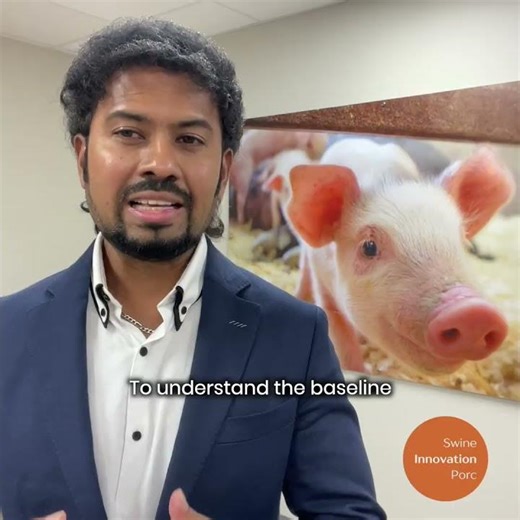 Swine Industry Advances: Biodigesters Lower Emissions and Increase Profits