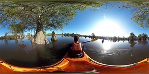 Explore the eerie and beautiful landscape that makes up the Dead Lakes in this 360° video. | VISIT FLORIDA