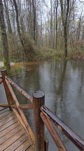Ormanya'nın içindeki Saklı Göl Yağmurda başka güzel
