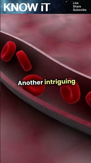 10 Surprising Facts About Agnosia | KNOW iT