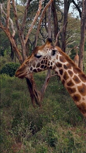 ‪@AzamaraCruises‬ Go Where Big Ships Can’t 🌍