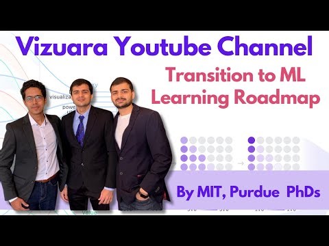 Vizuara Youtube Channel ML Roadmap | Transition to ML | Crack job interviews