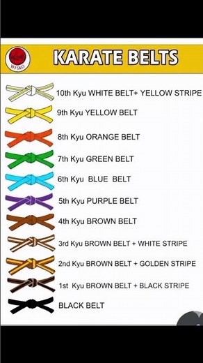 👉 "Karate Belts Progression 🥋 | White to Black Belt Journey | #Shorts"