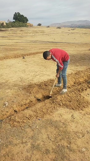 Digging Techniques in Arid Farming Environments