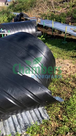 Improving lives empowering people #growyourownfood #hydroponics #jamaica #farming #garden #gardening #agriculture | Chambers Hydro Farm