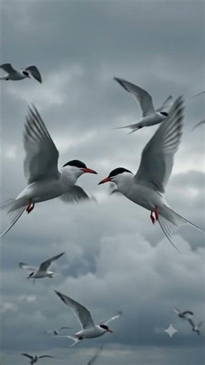 Tiny Bird, Epic Journey #4k #wildlife #birds #nature #shorts #viral