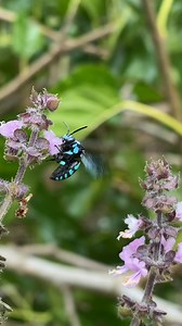 21K views · 243 reactions | Cast Your Vote!! Help us shine a...