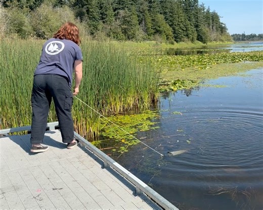 Western Washington University on Reels | Facebook