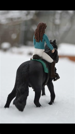 Model horse photography January 2026 ✨#modelhorsephotography #modelhorse #photography