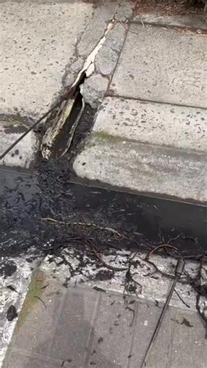 655K views · 10K reactions |  ¿CAÑERÍAS TAPADAS ? ¡Nosotros la destapamos!  Atención 24/7 en todo el estado Aragua ️ Rápidos, profesionales y listos para cualquier emergencia  Limpieza profunda de cañerías  Soluciones express sin romper ni dañar  Contáctanos ahora  https://Wa.me/+584127451807 Tu hogar libre de obstrucciones empieza aquí. ¡Destapamos y resolvemos!  | Denis Casanova | Facebook