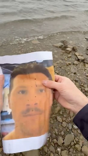 323K views · 7.8K reactions | We interrupt the regularly scheduled program to bring you this important message. | Buffalo Bills | Facebook