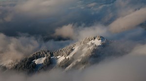 Snow Fall: The Avalanche at Tunnel Creek