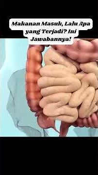Here's How Food Travels Through the Body! #food #digestion #body