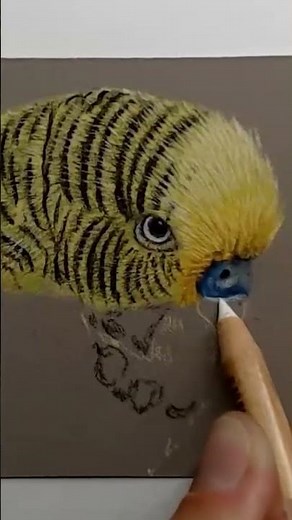 Have You Ever Wanted to Draw Your Pet So It Looks Truly Lifelike? 💛