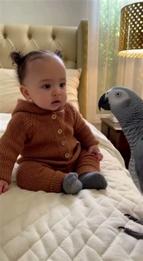 Baby Teaches a Parrot to Talk 🦜👶 | Cutest Conversation Ever!