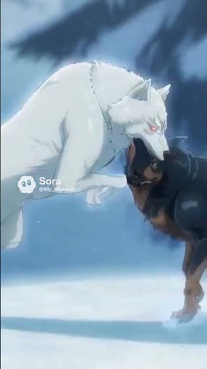 sora 2 wolf anime fight