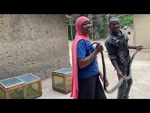 "Exploring Snake 🐍 Village: Hidden Gems of the Volta Region, Ghana 🇬🇭 “
