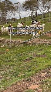 Rotational grazing! These little goaties know the drill and I love how they always meet us @jemmstone_solutions at the gate knowing the drill! ‍ #regenerativefarmers #rotationalgrazing #bremervalleyfarms #farmlifebestlife #farmlife #goats | Bremer Valley Farms | Facebook