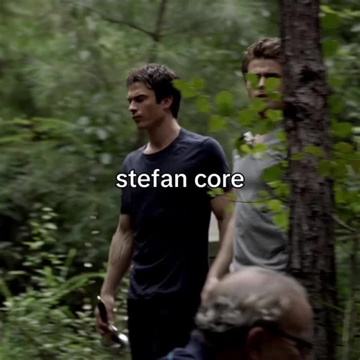 The Best Moments from Stefan in The Vampire Diaries