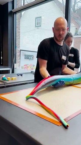 Rainbow Fox 😯🍭