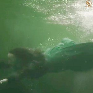 529K views · 1K reactions | Top Movie on Netflix #movies #movie #film #cinema #films #hollywood #actor #love #s #art #cinematography #actress #netflix #moviescenes #music #filmmaking #horror #instagood #bollywood #movienight #instagram | Darmali | Facebook