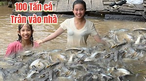 135K views · 3.5K reactions | Đàn Cá Thiên Nhiên Trên 100 Tấn Trên Sông Hậu Chuẩn Bị Xâm Chiếm Nhà Ông Sáu Mùa Nước Nổi #COGAIQUE | Cô Gái Quê | Facebook