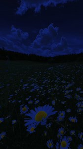 If I Was the Moon: A Short Poem About Temporary Light