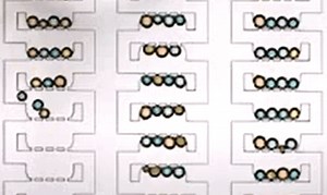 Complex droplet networks using pressure-driven microfluidics
