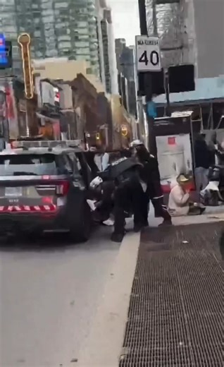 NYC Wildest moments