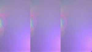 시루다냥 - fdsfdfds