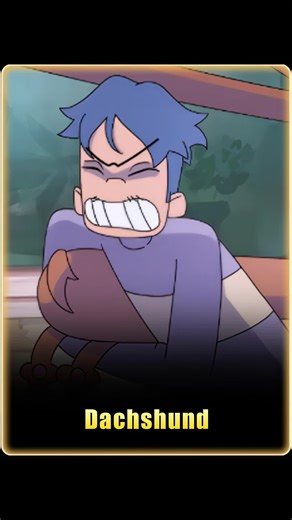 His obsession was with a dog that